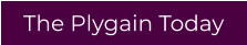 The Plygain Today